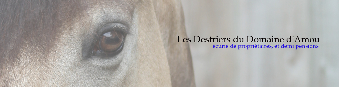 Les Destriers du Domaine d'Amou