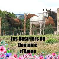 ECURIE DE PROPRIETAIRES, (PENSIONS ET 1/2 PENSIONS)